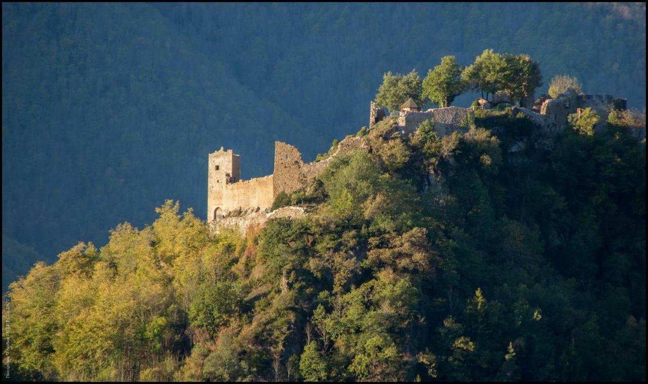Villa La Forge D'Andribet Axiat Exterior foto